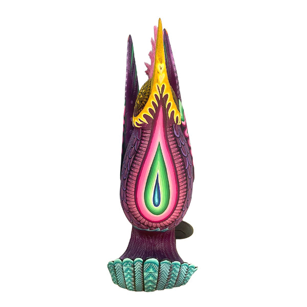 Carolina Sandoval & Kengi: Messenger of Joy Hummingbird