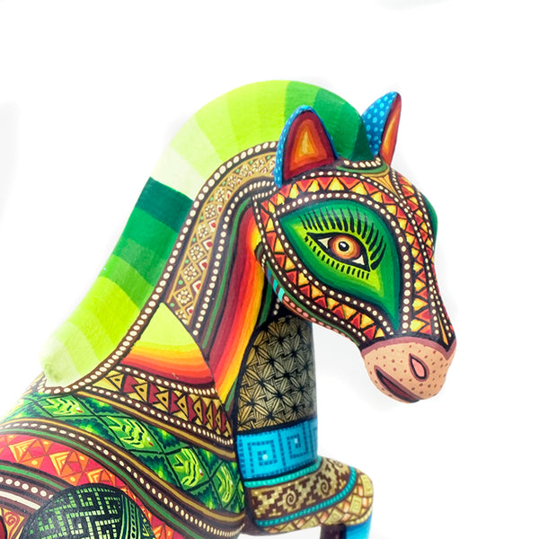 Magaly Fuentes: Elegant Horse Oaxaca