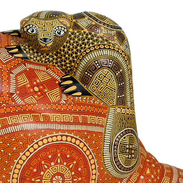 Anel Shunashi: American Beaver & Baby