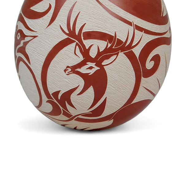 Abraham Rodriguez: Spirit of the Wild Mata Ortiz