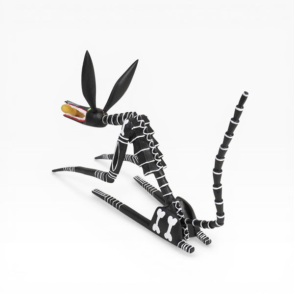 Adrian Xuana: Skeleton Dog Oaxaca