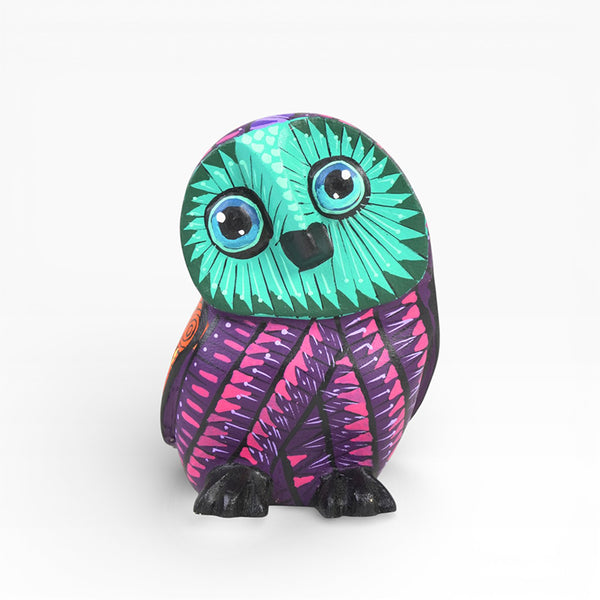 Angel Matias: Little Owl