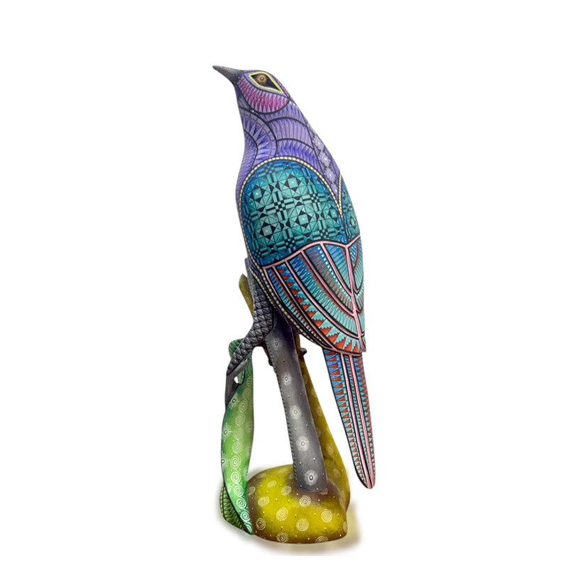 Angel Melchor: Beautiful Bird Woodcarving