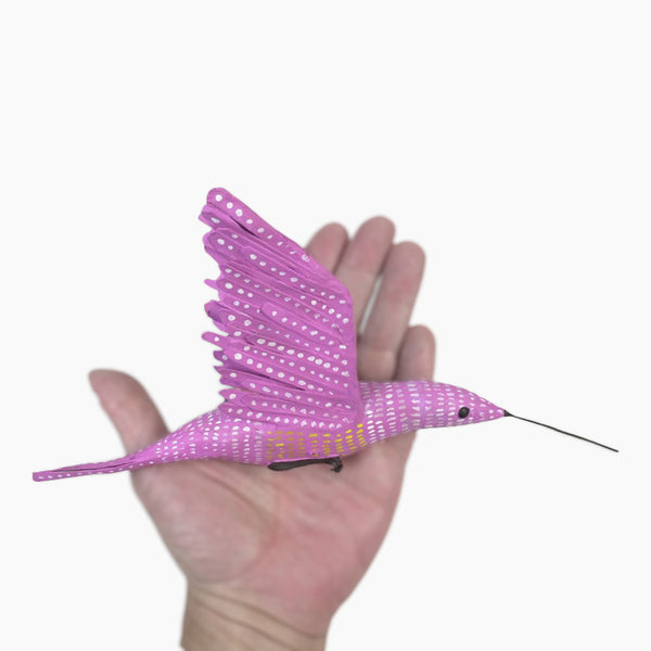 Antonio Alonso: Pink Hummingbird