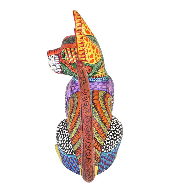 Antonio Xuana: Patchwork Cat