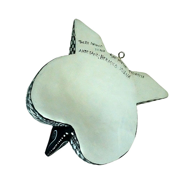 Antonio Xuana: Owl Mask Woodcarving