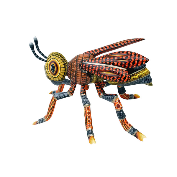 Omar & Areli Cruz: Beautiful Wasp Woodcarving