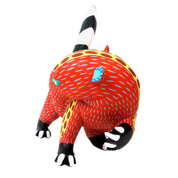 Armando Jimenez: Playful Spotted Anteater