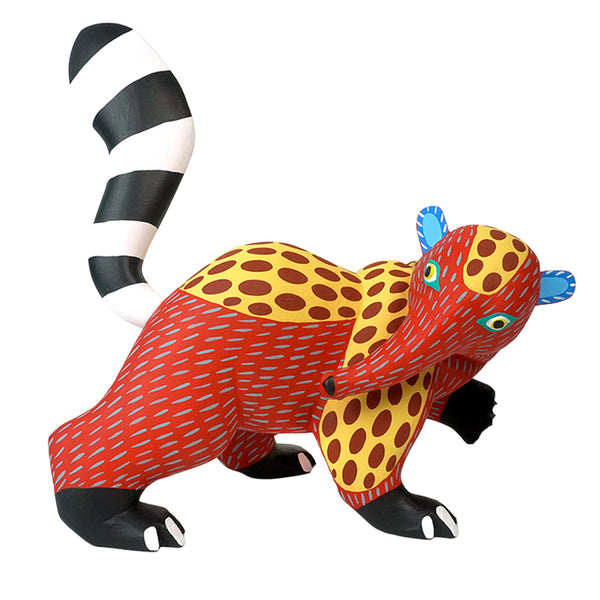 Armando Jimenez: Playful Spotted Anteater