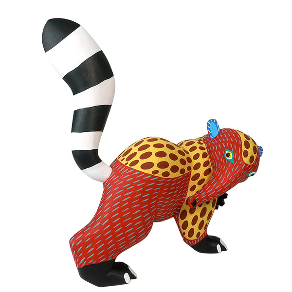 Armando Jimenez: Playful Spotted Anteater