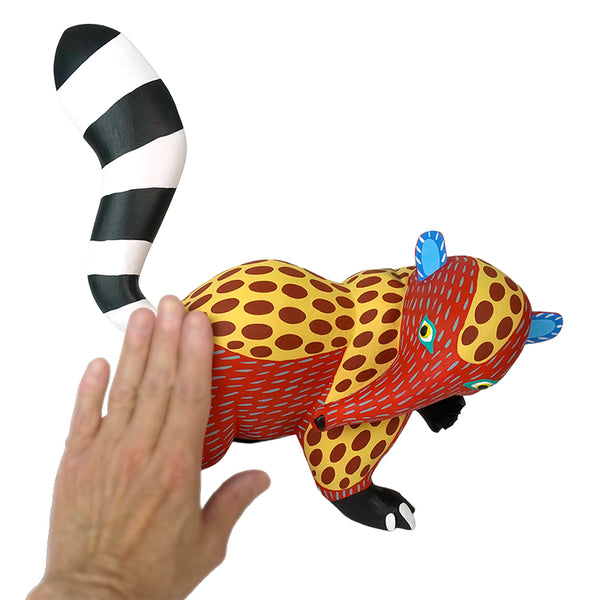 Armando Jimenez: Playful Spotted Anteater