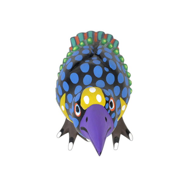 Armando Jimenez: Crow Oaxaca