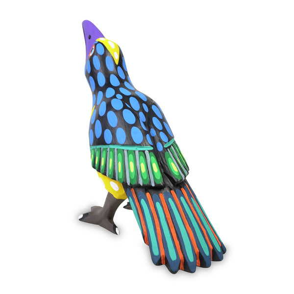 Armando Jimenez: Crow Oaxaca