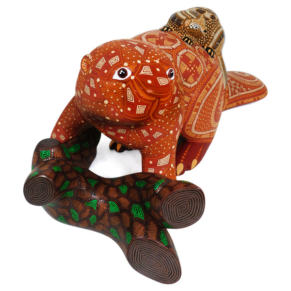 Anel Shunashi: Oaxacan Woodcarving American Beaver & Baby