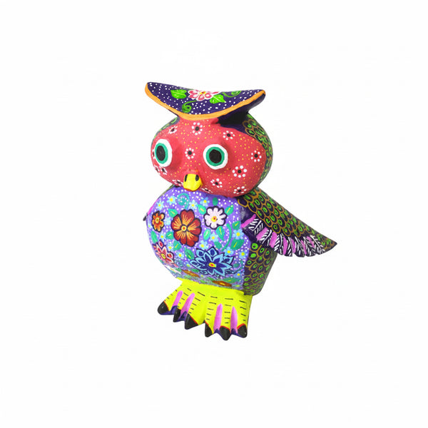 Candido Jimenez: Endearing Owl Woodcarving