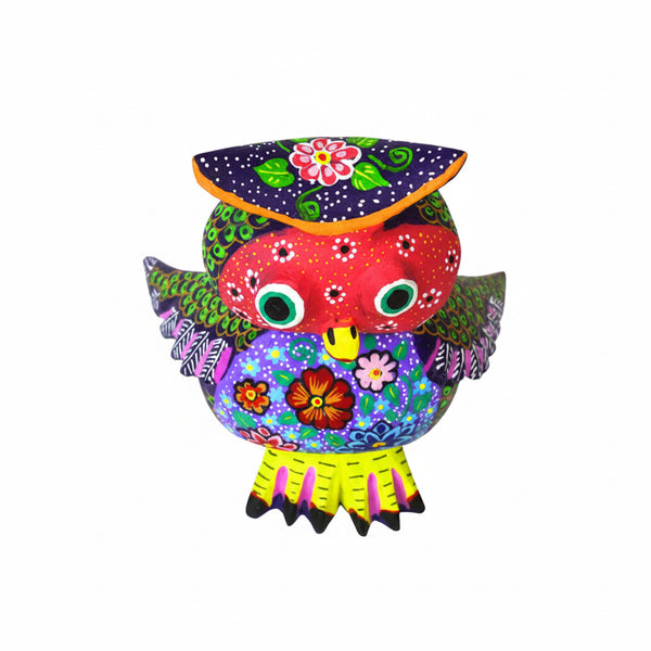 Candido Jimenez: Endearing Owl Woodcarving