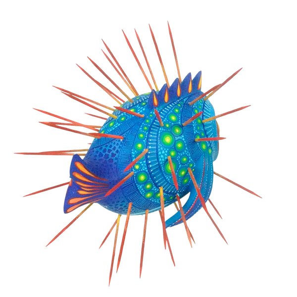 Carolina Sandoval & Kengi: Blowfish Woodcarving