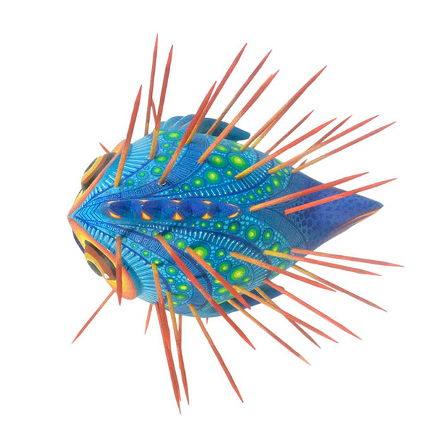 Carolina Sandoval & Kengi: Blowfish Woodcarving