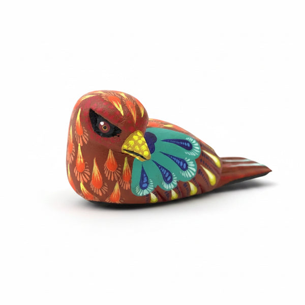 Carolina Sandoval & Kengi: Wood Dove Oaxaca