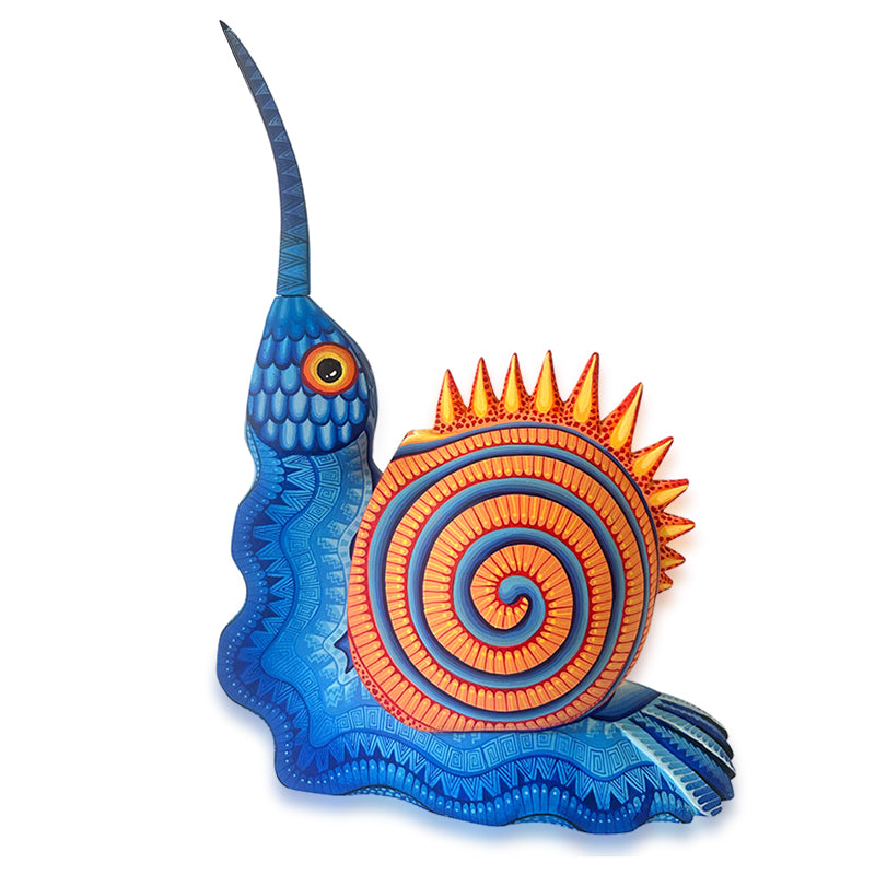 Carolina Sandoval & Kengi: Fusion Snail & Hummingbird