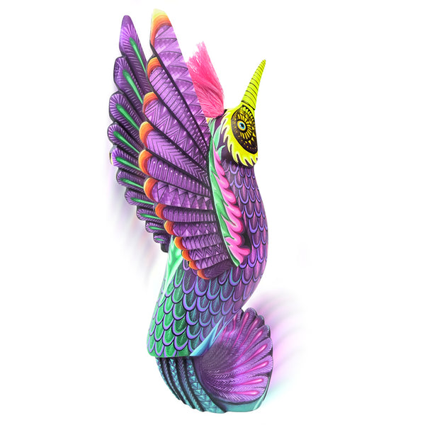 Carolina Sandoval & Kengi: Messenger of Joy Hummingbird