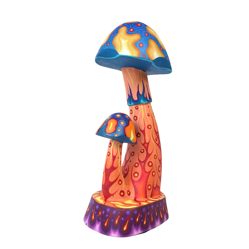 Carolina Sandoval & Kengi: Mushrooms Oaxaca