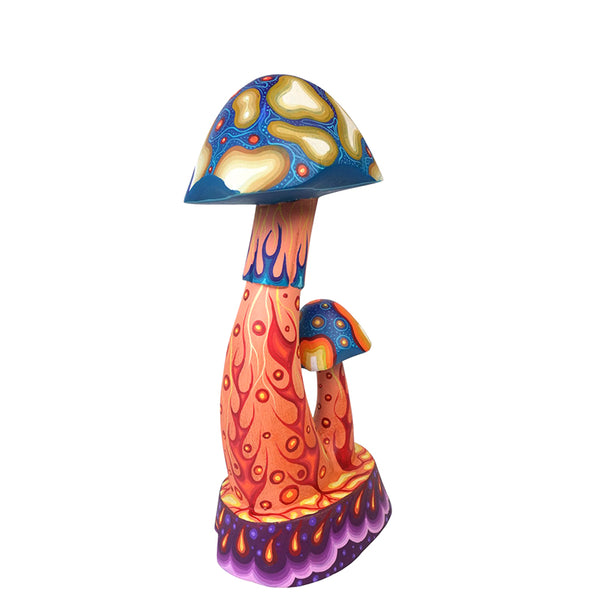 Carolina Sandoval & Kengi: Mushrooms Oaxaca