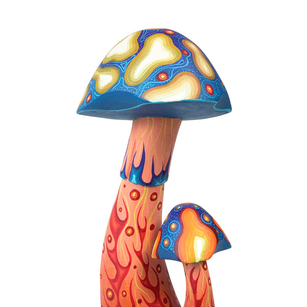 Carolina Sandoval & Kengi: Mushrooms Oaxaca
