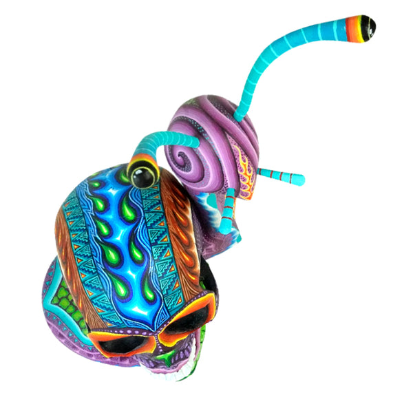 Carolina Sandoval & Kengi: Snail with Skull Woodcarving