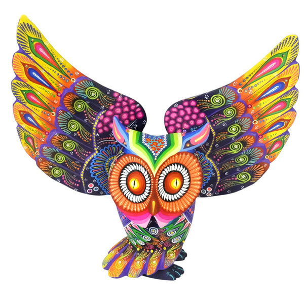 Cesar Melchor: Night Sky Owl Alebrije