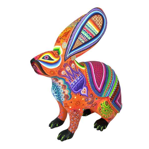 Cesar Melchor: Desert Dream Rabbit with Armadillo Shell