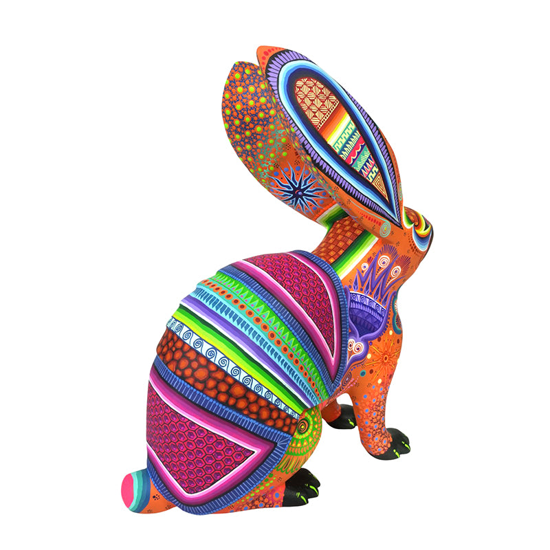 Cesar Melchor: Desert Dream Rabbit with Armadillo Shell