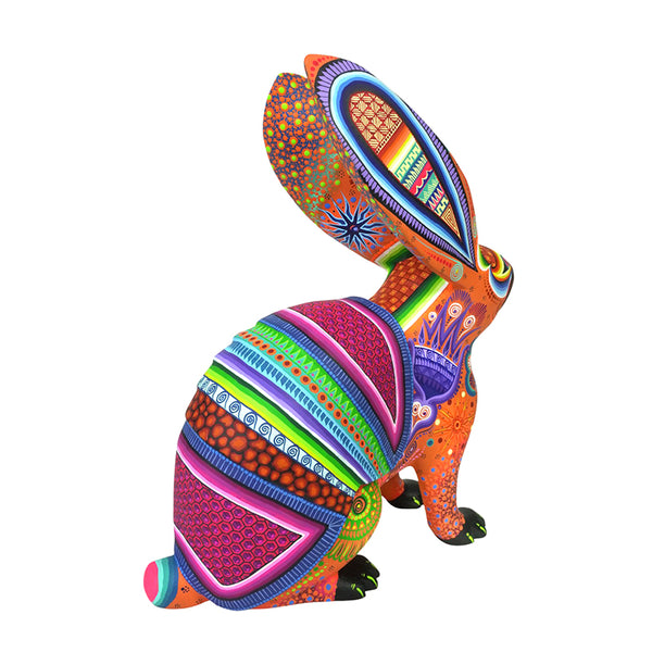 Cesar Melchor: Desert Dream Rabbit with Armadillo Shell