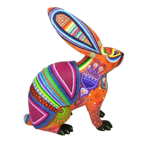 Cesar Melchor: Desert Dream Rabbit with Armadillo Shell
