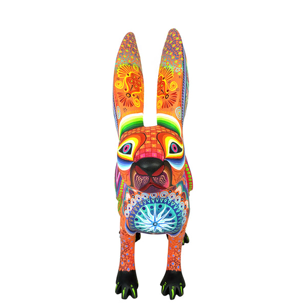 Cesar Melchor: Desert Dream Rabbit with Armadillo Shell