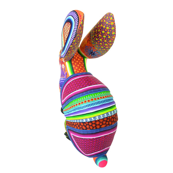 Cesar Melchor: Desert Dream Rabbit with Armadillo Shell