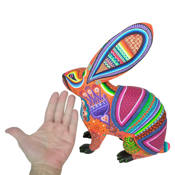 Cesar Melchor: Desert Dream Rabbit with Armadillo Shell