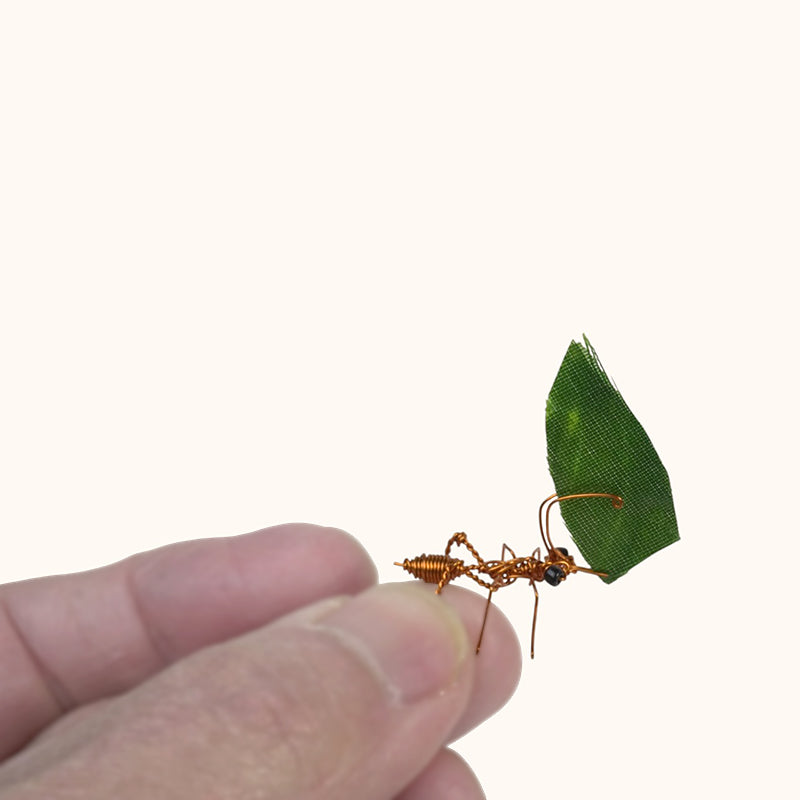 Cristo Escamilla: Leafcutter Ants Set Wire Art