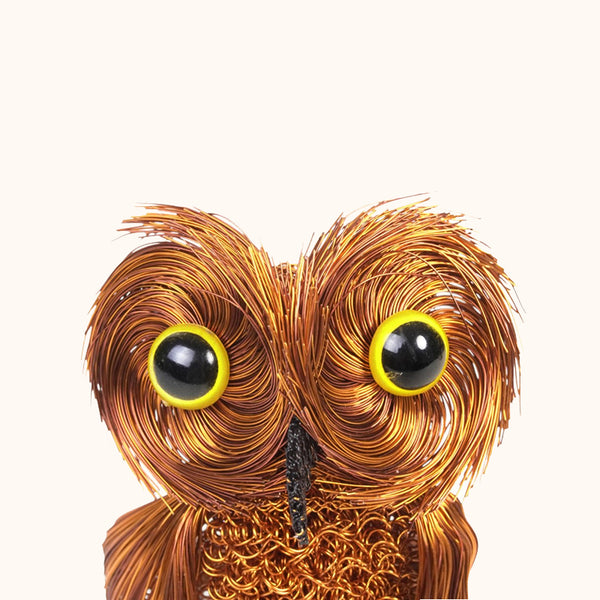 Cristo Escamilla:Mid Size Owl Wire Art