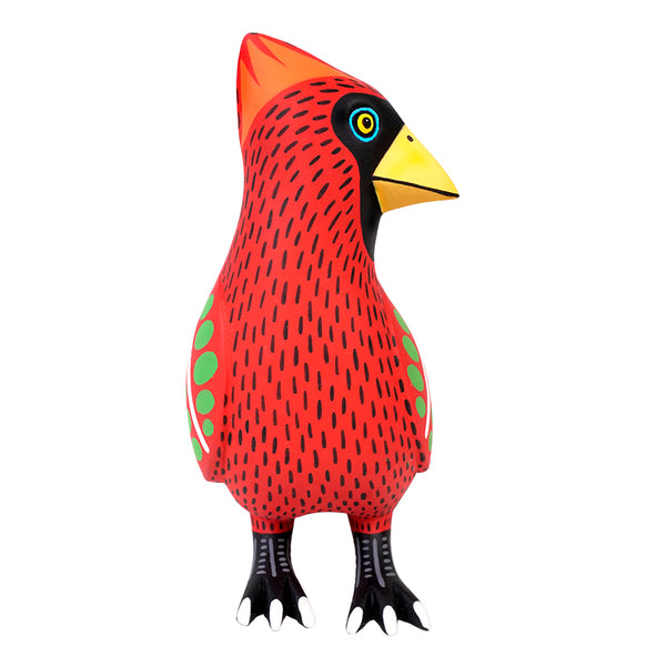 Luis Pablo: Crimson Cardinal on Watch