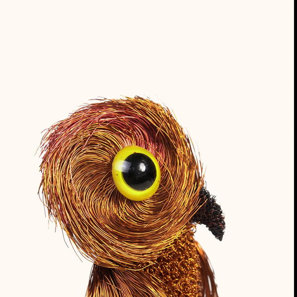 Cristo Escamilla: Little Owl Wire Art