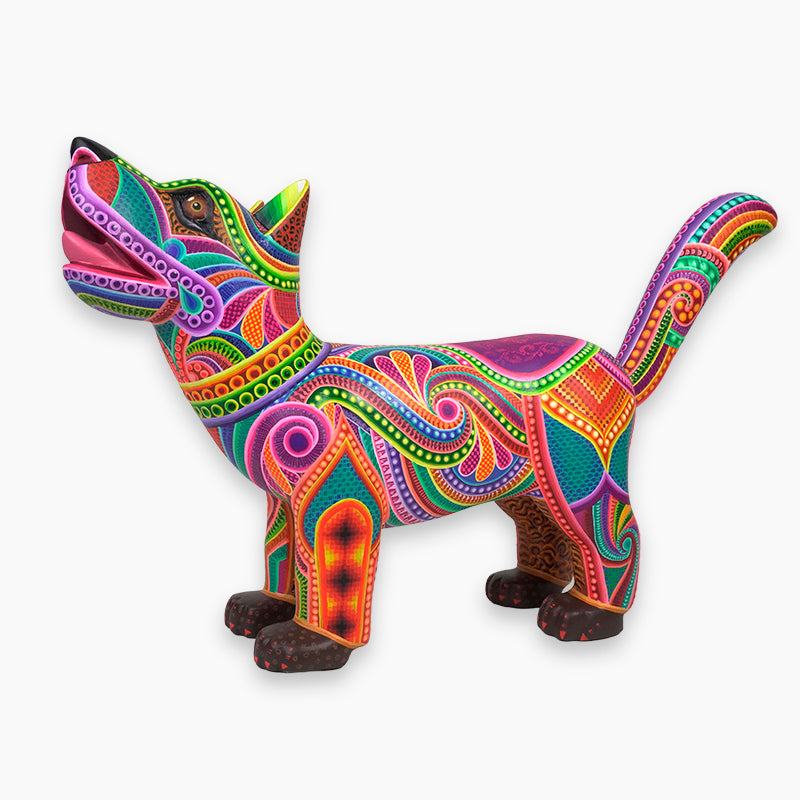Dante Cruz: Impressive Kaleidoscope Dog Oaxaca