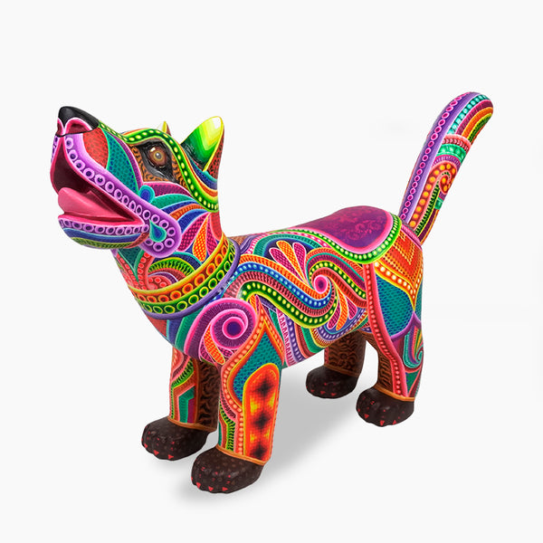 Dante Cruz: Impressive Kaleidoscope Dog Oaxaca