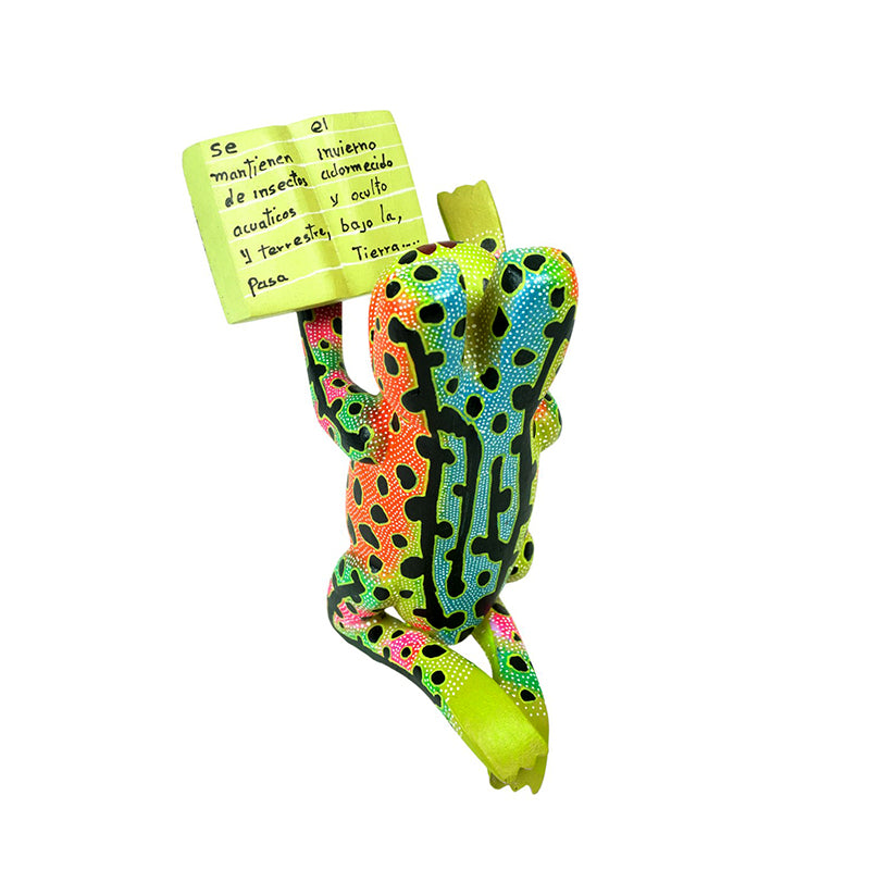 David Blas: reading Frog Alebrije