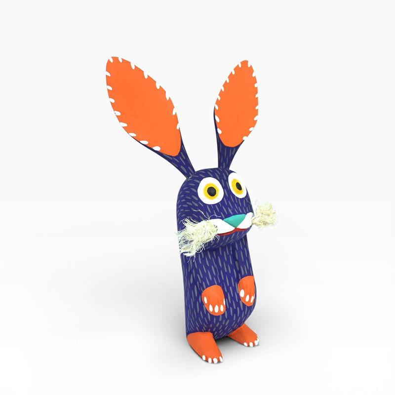 Eduardo Jimenez: Señor Whiskers Rabbit