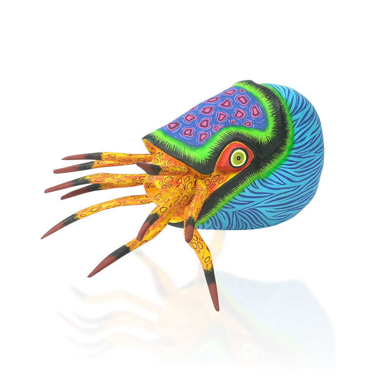 Eleazar Morales: Nautilus Woodcarving