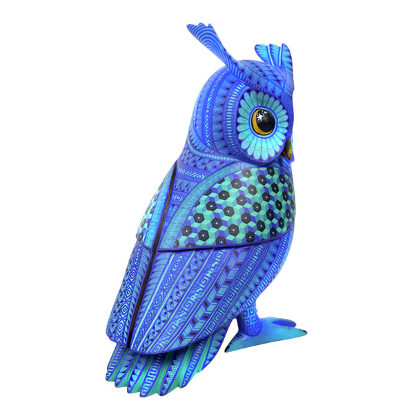 Emmanuel Ramirez: Moon & Stars Owl Oaxaca