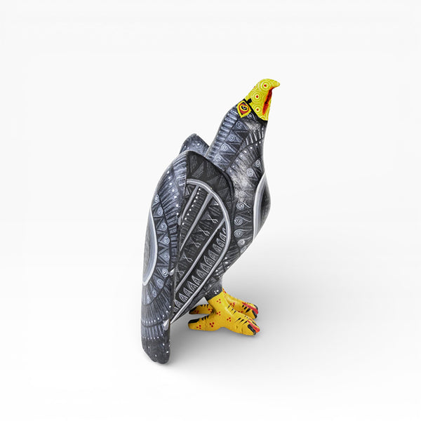 Francisca Calvo: Wise Crow Woodcarving