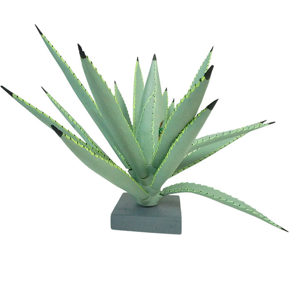 Gabino Reyes: Our Lady of Guadalupe Cactus Woodcarving