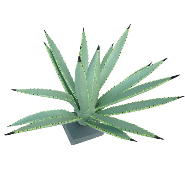 Gabino Reyes: Our Lady of Guadalupe Cactus Woodcarving